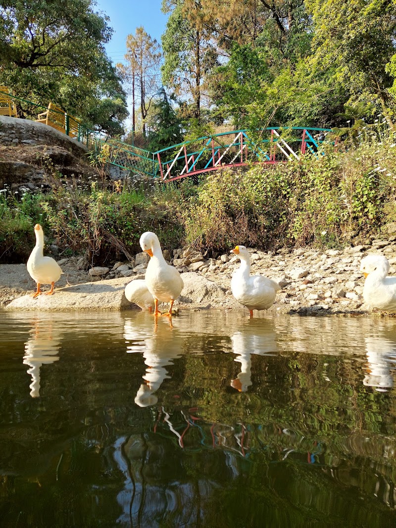 Bhulla Taal - Bhulla Taal Lansdowne, Uttarakhand 246155, India