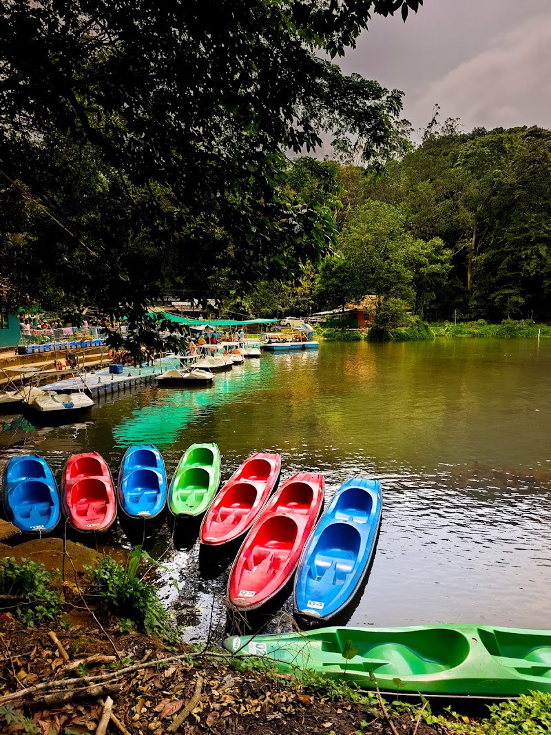 Pookode Lakeview - Pookode Lakeview, G2RG+VJF, Pookode, Kunnathidavaka, Keralam 673576, India
