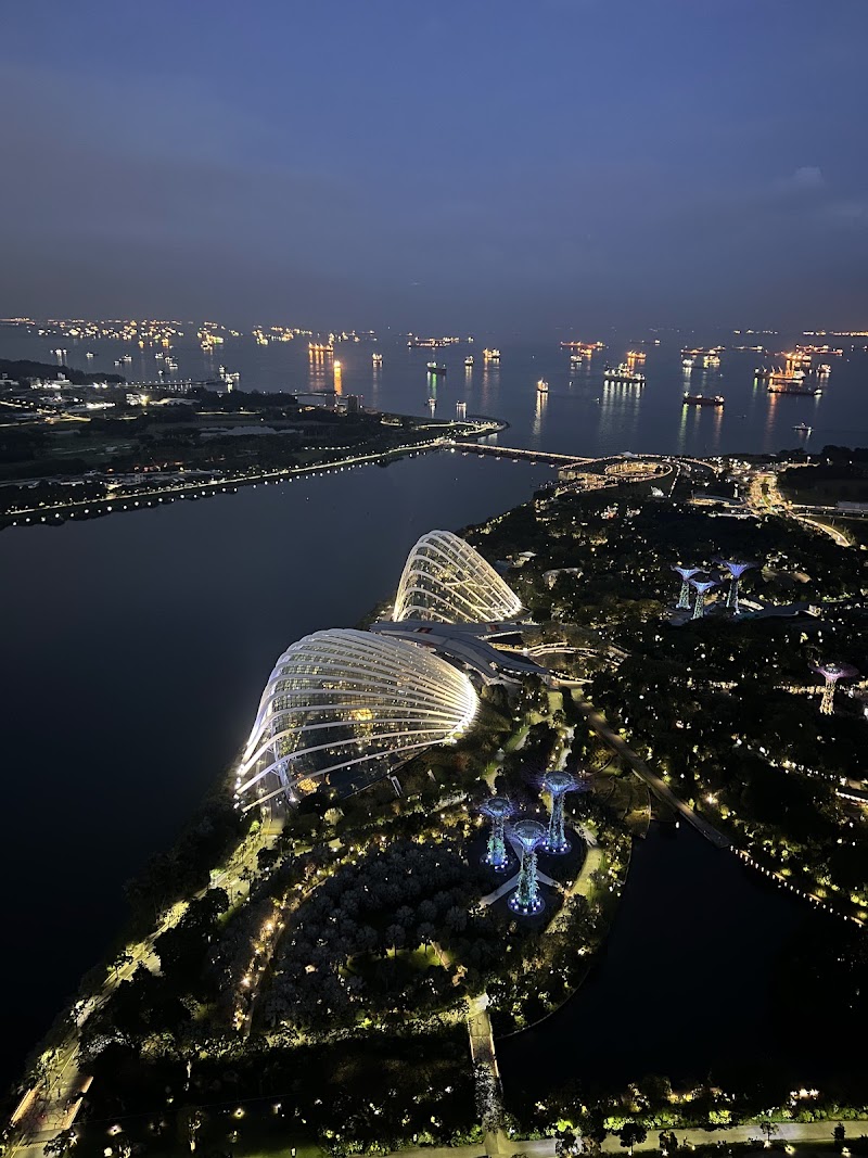 SkyPark Observation Deck - SkyPark Observation Deck 10 Bayfront Avenue, Hotel, Tower 3 Level 56, Marina Bay Sands, Singapore 018956