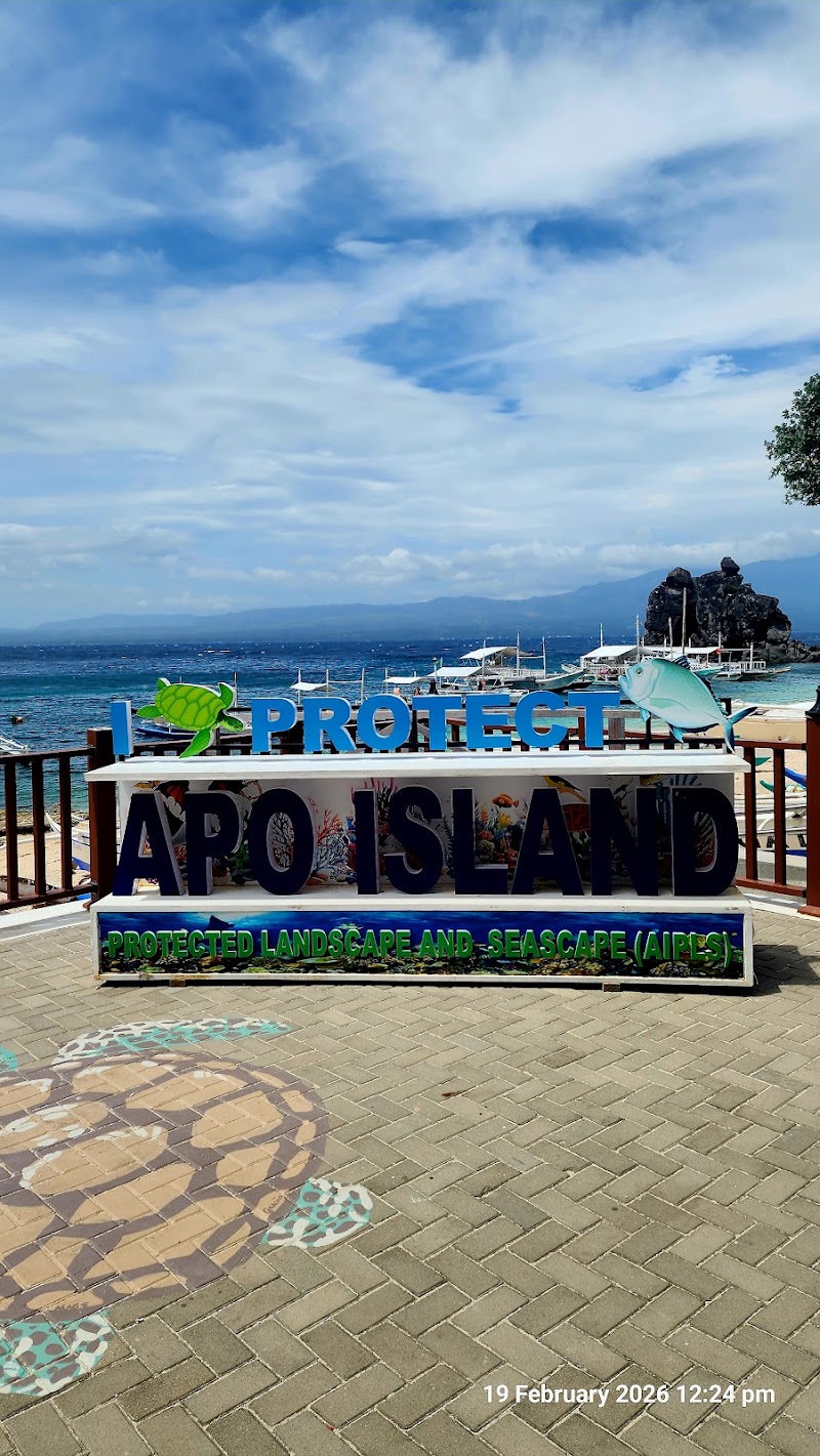 Apo Island Marine Sanctuary - Apo Island Marine Sanctuary, 37FC+M6V Apo Island, Dauin, Negros Oriental, Philippines