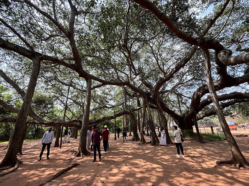 Auroville Visitors Centre - Auroville Visitors Centre Visitor's Centre, Auroville, Irumbai, Tamil Nadu 605101, India