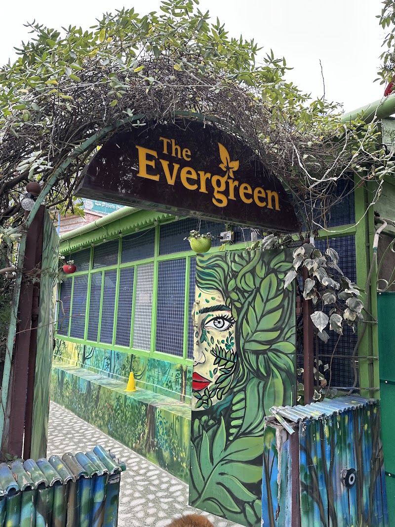 The Evergreen - The Evergreen Manikaran Rd, near forest rest house, new, Kasol, Sosan, Himachal Pradesh 175105, India
