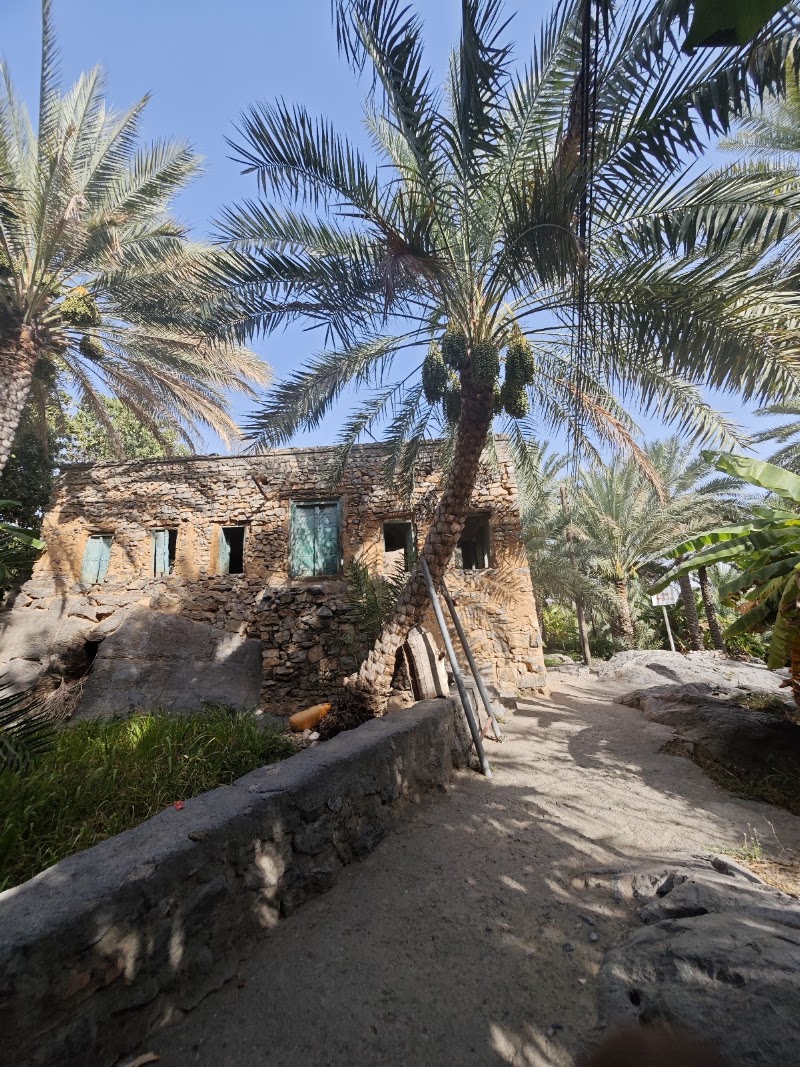 Jabal Al Akhdar Viewpoint - Jabal Al Akhdar Viewpoint, 2PH2+F3M, Saiq, Oman