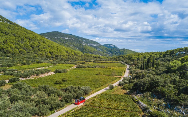 Korcula Cabrio Wine Tour • Korkyra INFO - Korcula Cabrio Wine Tour • Korkyra INFO, Trg Petra Segedina 3a, 20260, Korčula, Croatia
