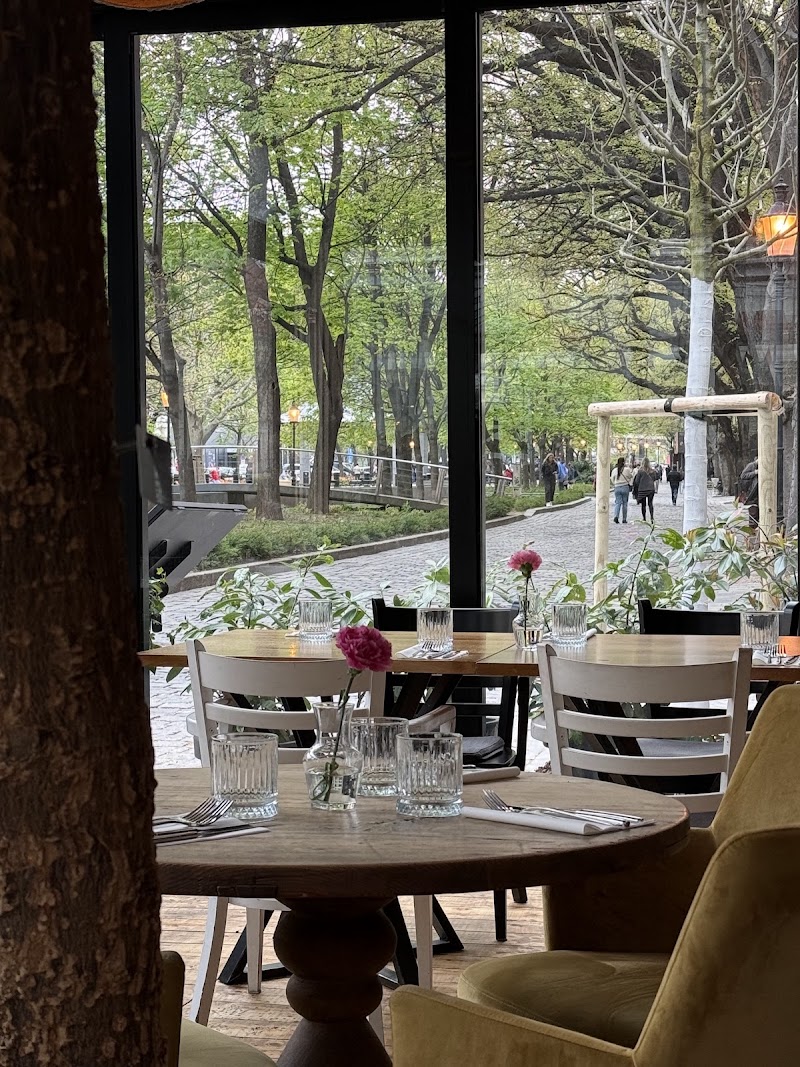 PLAC restaurant - PLAC restaurant, Hviezdoslavovo námestie 176/20, 811 02 Bratislava, Slovakia