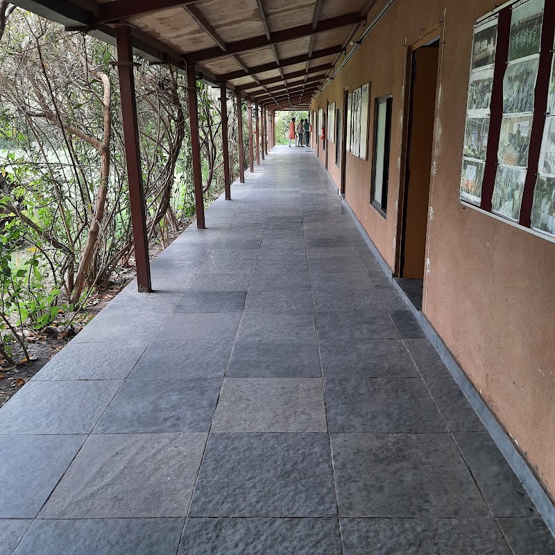 Bansi Gir Gaushala - Bansi Gir Gaushala Bansi Gir Gaushala Behind metro whole sale mall S.P. Ring Road, Shantipura Cir, Ahmedabad, Gujarat 382210, India