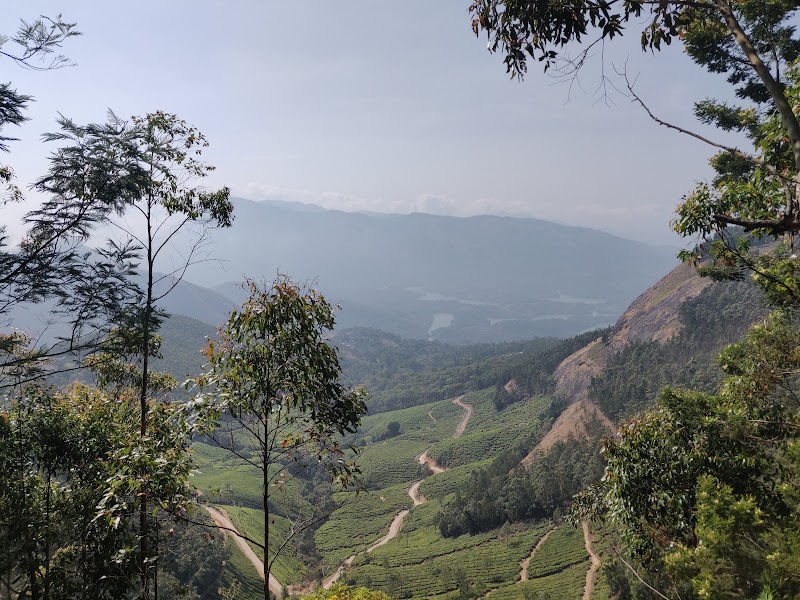 Kalypso Camp - Kalypso Camp, Shanmughavilasam Estate Rd, Suryanelli, Kerala 685618, India