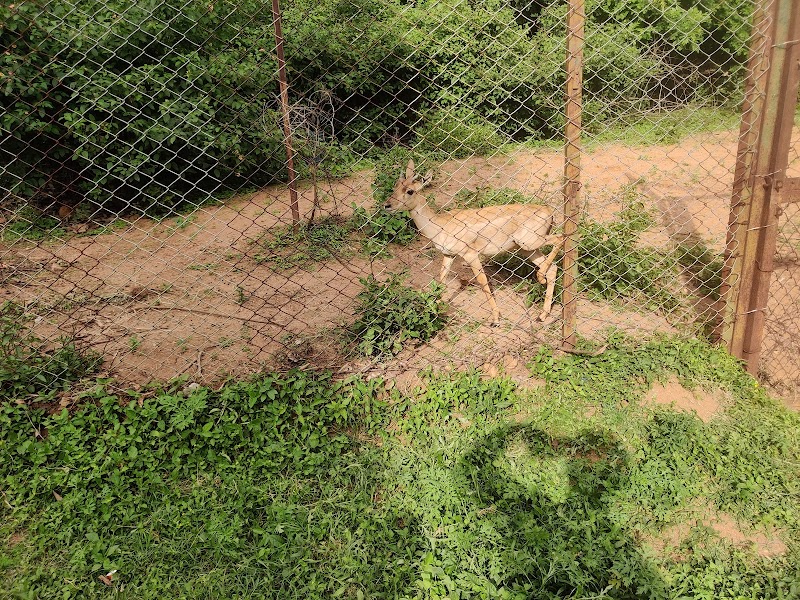 Kaiwara National Park - Kaiwara National Park, 9242+9C, Kaiwara Ghavi Rd, Shamarao Hospete, Karnataka 563128, India
