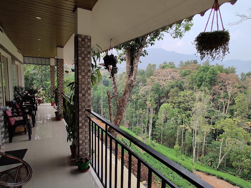Green Tea View Homestay - Green Tea View Homestay GREEN TEA VIEW HOMESTAY, Etty City, Anachal, Kerala 685565, India