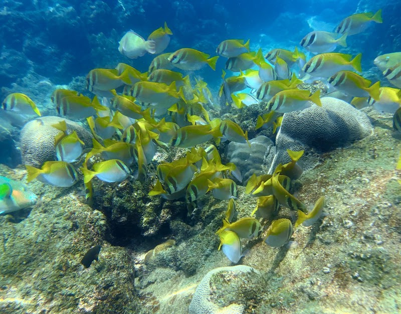 Tanote Bay - Tanote Bay Gulf of Thailand, Thailand