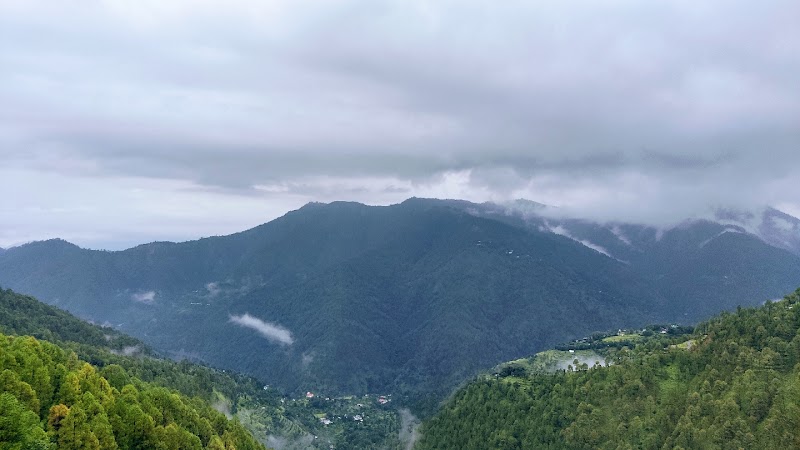 The Whistling Cottage - The Whistling Cottage, Malla Ramgarh, Ramgarh Rd, Ramgarh, Uttarakhand 263137, India