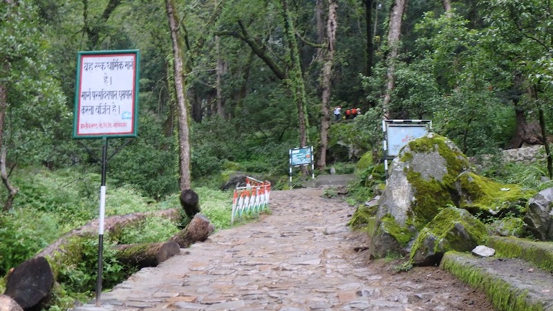 Valley of flowers Camp Ghangria - Valley of flowers Camp Ghangria Valley of Flowers Trek Route, near Gurudwara, Ghangaria, Uttarakhand 246443, India