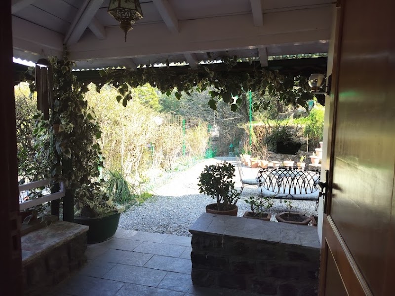 ROSASTAYS Mallital, Nainital - ROSASTAYS Mallital, Nainital, Rosastays, H.No.45, Vienna Cottage, Dhampur Bend, Mallital, Nainital, Uttarakhand 263001, India