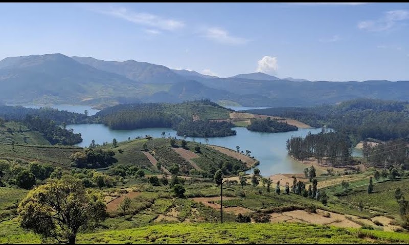 Mukurthi National Park - Mukurthi National Park Nilgiri hills, Mulligoor, Tamil Nadu 643219, India