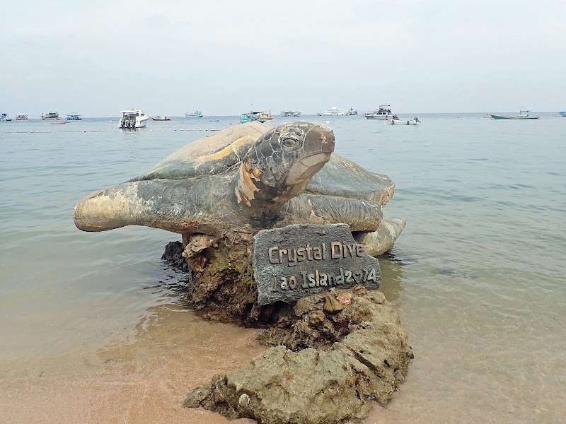 Mae Haad Beach - Mae Haad Beach 3RPF+CVM, Ko Tao, Ko Pha-ngan District, Surat Thani 84360, Thailand