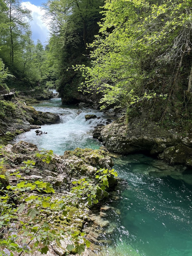 Soteska Vintgar - Soteska Vintgar Turistično društvo Gorje, Podhom 80, 4247 Zgornje Gorje, Slovenia