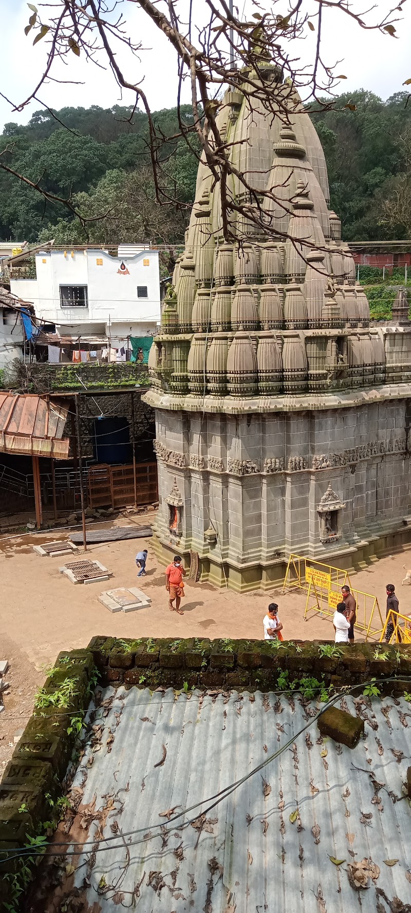 Bhimashankar - Bhimashankar, Maharashtra, India