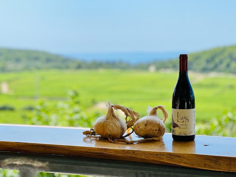 O.P.G. Laus - Winery - O.P.G. Laus - Winery, D118 202, 20273, Čara, Croatia