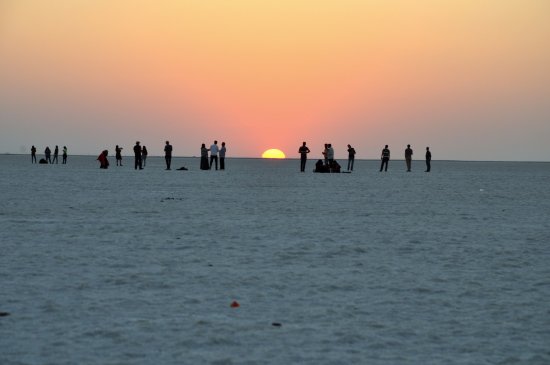 Kutch Adventures India (a.k.a. Desert Adventures Kutch) - Kutch Adventures India (a.k.a. Desert Adventures Kutch), Rotary Colony, Ravalwadi Relocation Site, D 109, near Engineering College Road, Rotary Nagar, Bhuj, Gujarat 370001, India