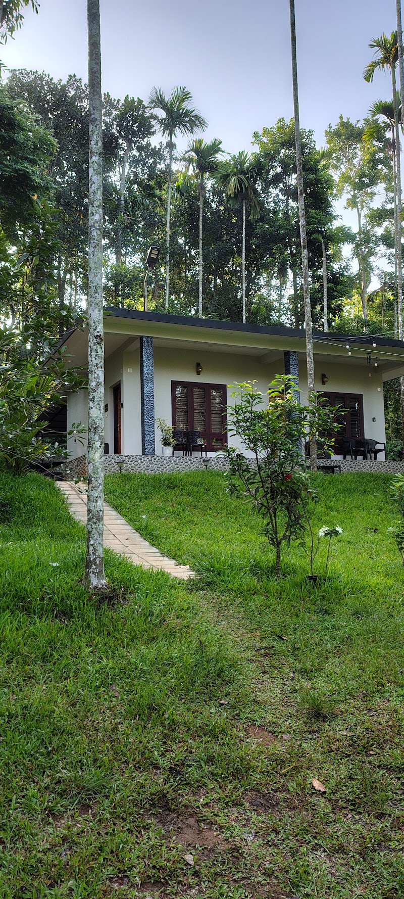 Jungle Getaway