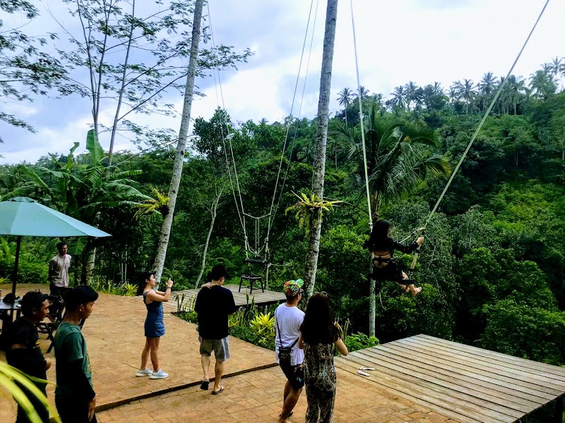 Jungle Swing Bali - Jungle Swing Bali, Buahan, Payangan, Gianyar Regency, Bali 80572, Indonesia