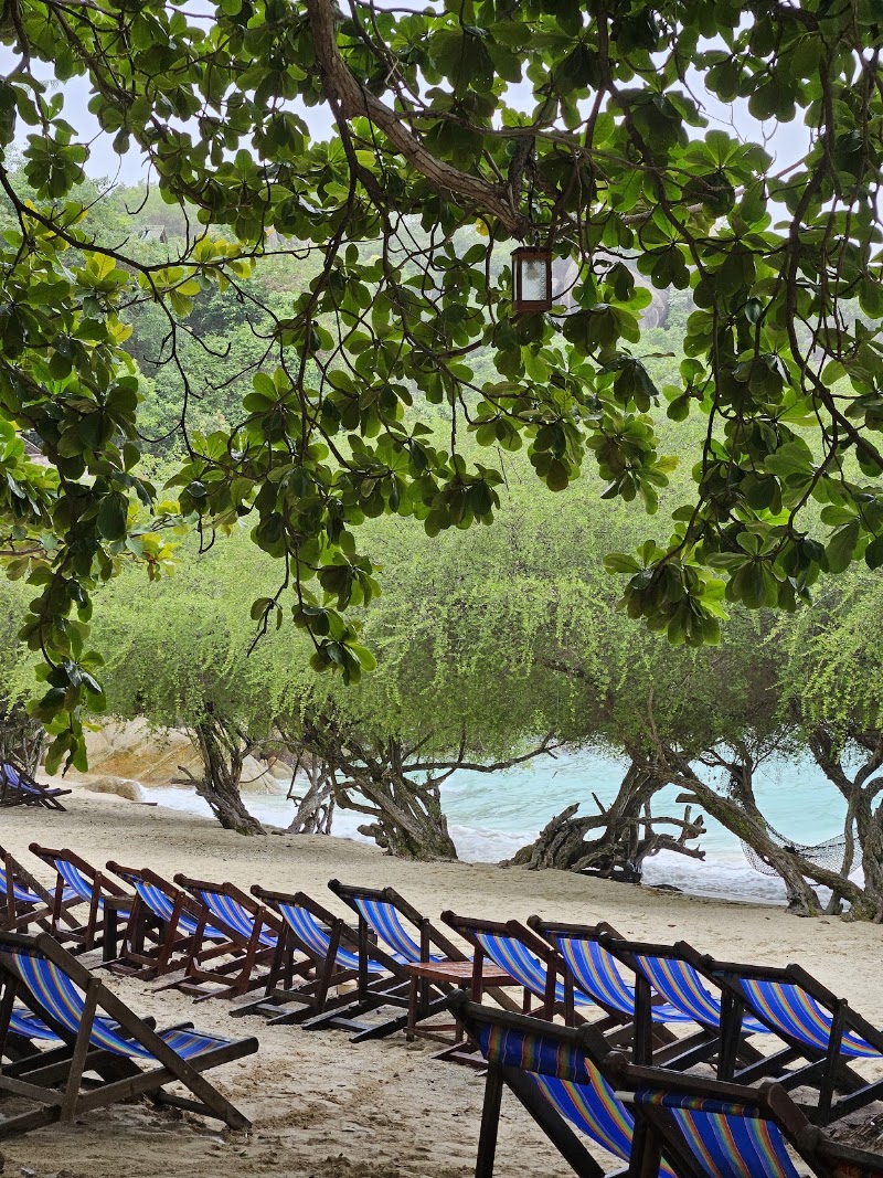 Freedom Beach - Freedom Beach 20 Moo 3, Koh Tao, อำเภอเกาะพะงัน สุราษฎร์ธานี 84280, Thailand