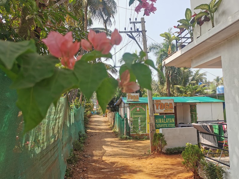 Himalayan therapeutic studio (Mogu School) - Himalayan therapeutic studio (Mogu School) Mohanbagh, Palolem, Canacona, Goa 403702, India
