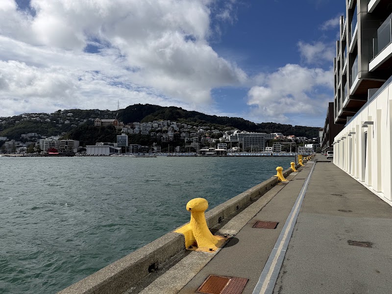 Clyde Quay Wharf - Clyde Quay Wharf, 1/8 Clyde Quay Wharf Accessway East, Te Aro, Wellington 6011, New Zealand
