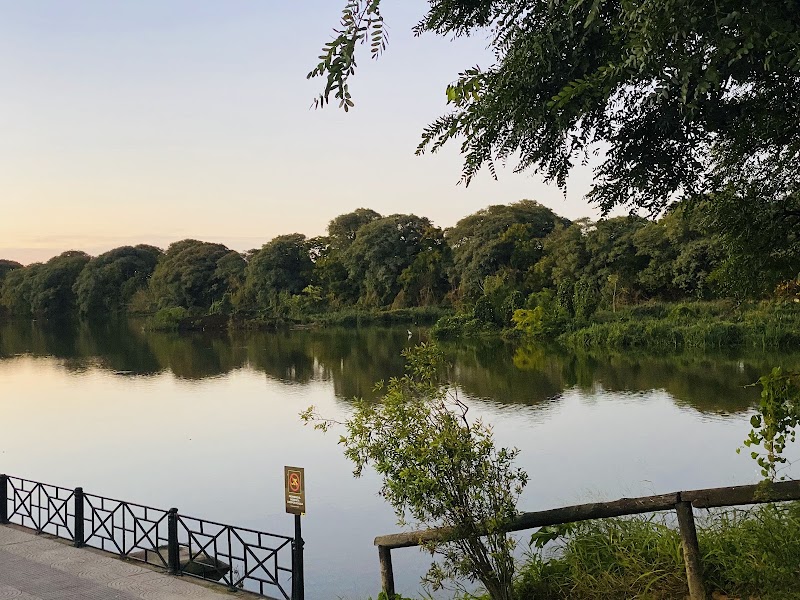Reserva Ecológica Costanera Sur - Reserva Ecológica Costanera Sur, Cam. de los Plumerillos, C1107 Cdad. Autónoma de Buenos Aires, Argentina