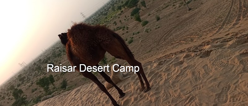 Raisar Desert Camp - Raisar Desert Camp, Jaipur Rd, Raisar, Bikaner, Rajasthan 334001, India