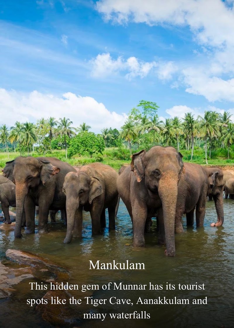Munnar Explore the South India Kashmir, Kannan Devan - Munnar Explore the South India Kashmir, Kannan Devan 493,Near workshop recreation club, Highrange club road, Munnar685612 Taxi stand, Munnar - Udumalpet Rd, Nullatanni, Munnar, Kerala 685612, India