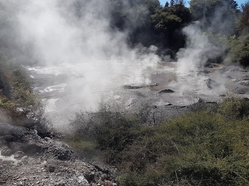 Pohutu Geyser - Pohutu Geyser 20 Hemo Road, Rotorua 3010, New Zealand