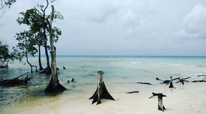 Elephant Beach - Elephant Beach SH4, Havelock Island, Port Blair, Andaman and Nicobar Islands 744211, India
