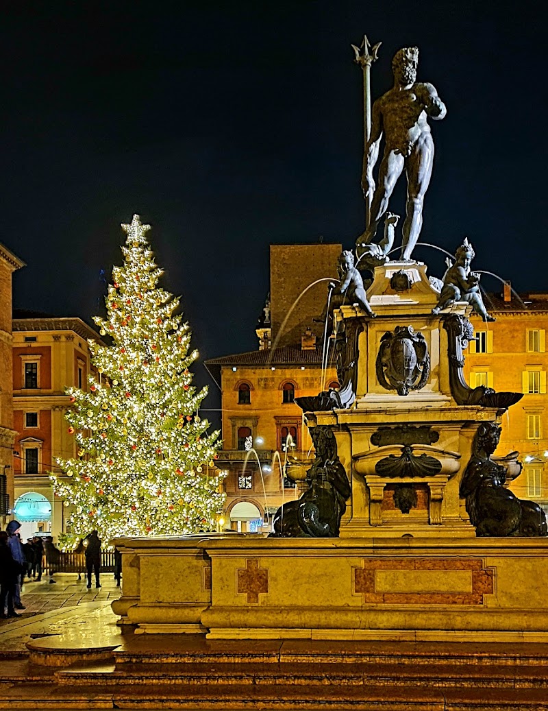 Piazza Maggiore - Piazza Maggiore, Bologna BO, Italy