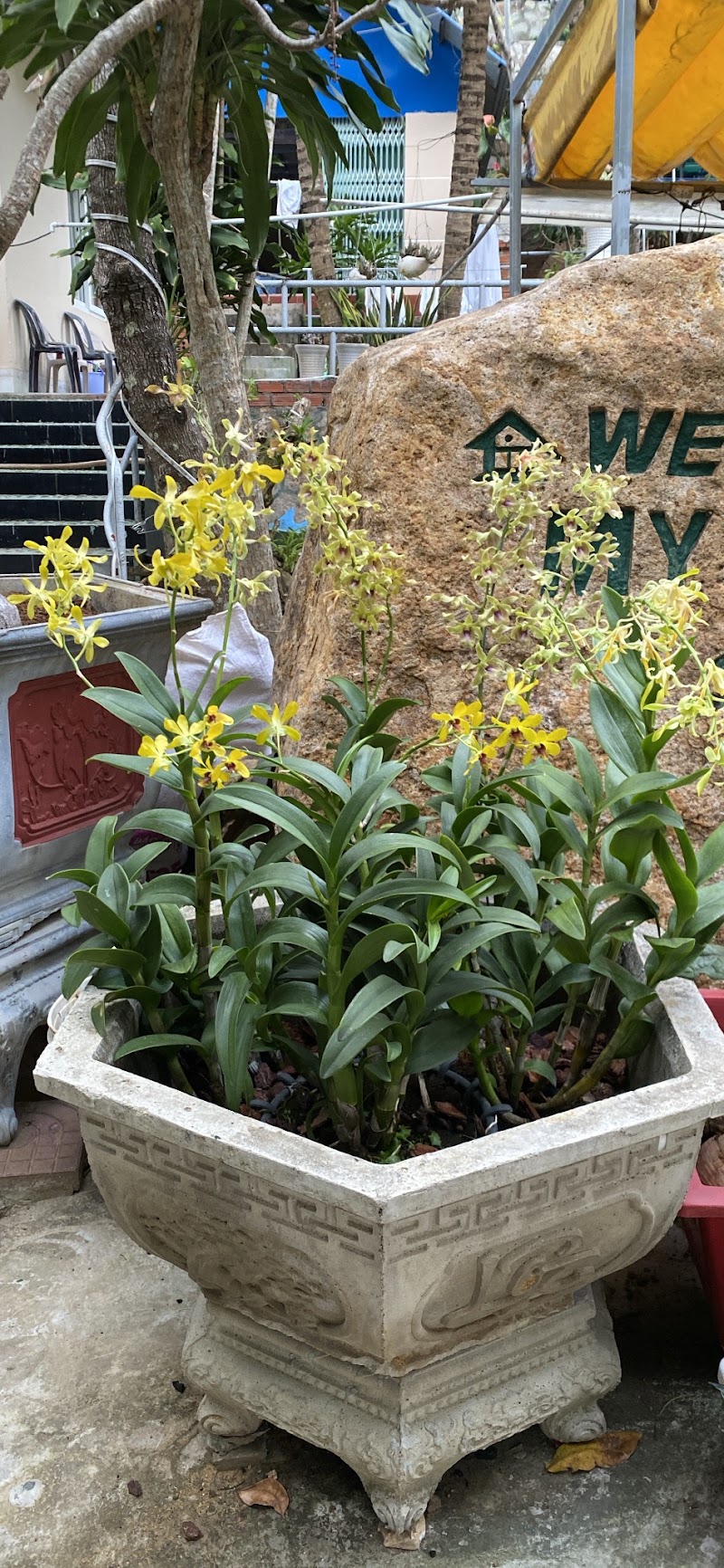 Homestay Nhà Tôi- Kem dừa Côn Đảo Nhà Tôi - Homestay Nhà Tôi- Kem dừa Côn Đảo Nhà Tôi, Huỳnh Thúc Kháng, Côn Đảo, Hồ Chí Minh, Vietnam