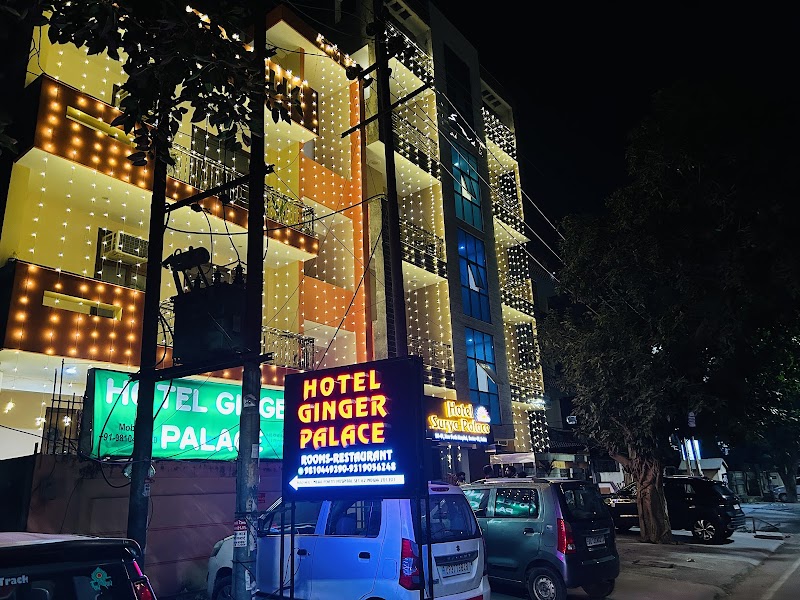 Hotel Surya Palace By Aura