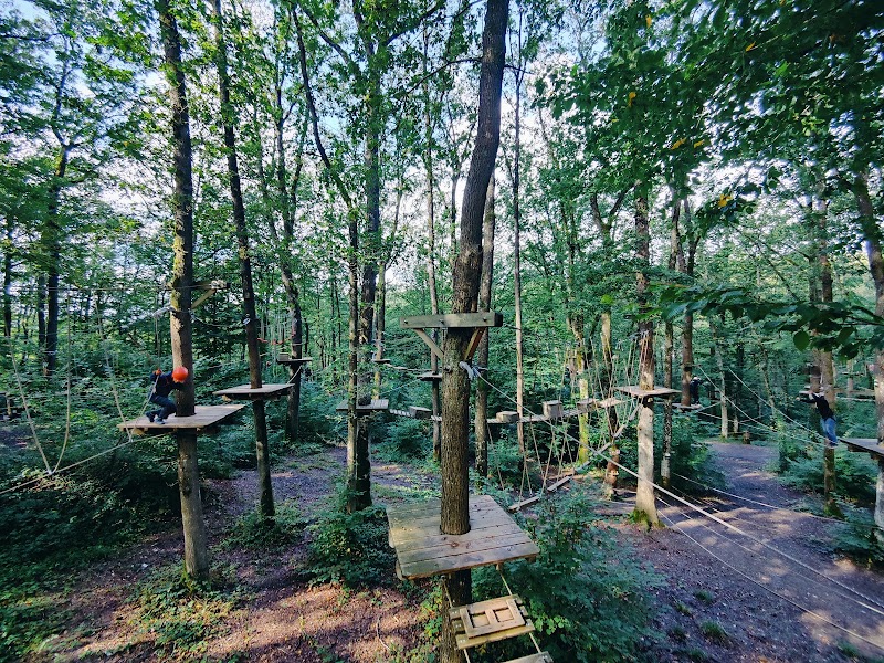 Adventure Valley Durbuy - Adventure Valley Durbuy, Rue Rome 1, 6940 Durbuy, Belgium