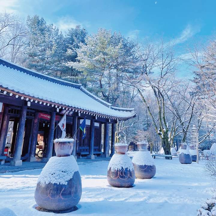 Nami Island - Nami Island 1 Namiseom-gil, Namsan-myeon, Chuncheon, Gangwon-do, South Korea