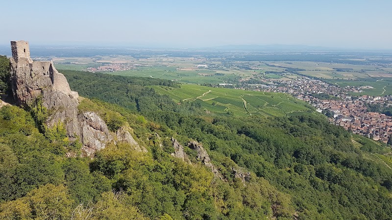 Château de Saint-Ulrich - Château de Saint-Ulrich, 68150 Ribeauvillé, France