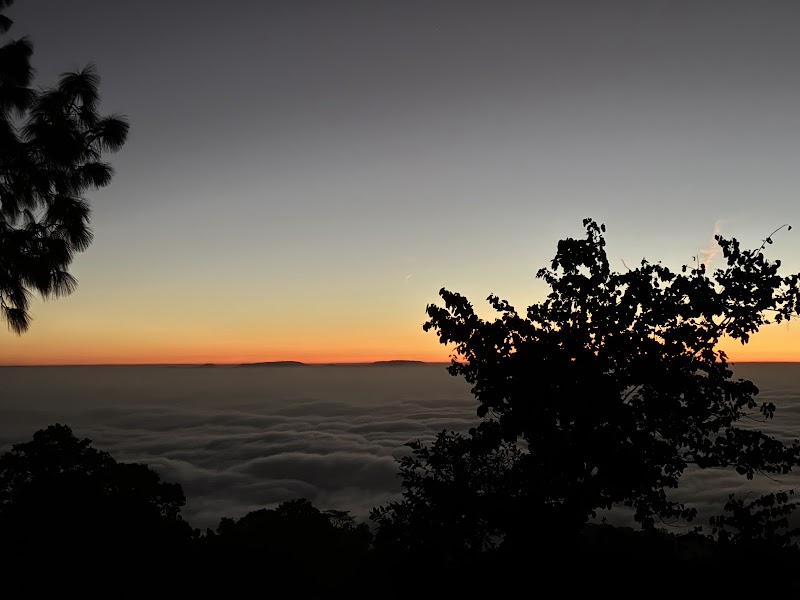 Pine Forest Koel View Point - Pine Forest Koel View Point F7PG+9X5 Koel View Point, Netarhat, Jharkhand 835218, India