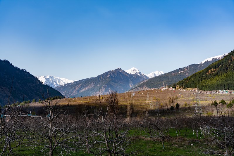 The Saltbox Manali - The Saltbox Manali, village Manasari , P.o haripur, Manali, Soil, Himachal Pradesh 175136, India