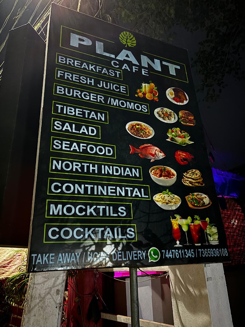 Plant Cafe - Plant Cafe Morjim Beach Road, Morjim, Goa 403512, India