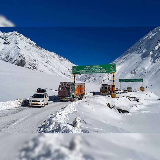 Zojila Pass - Zojila Pass, Forest Block 191202