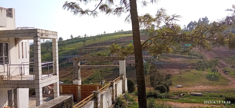 Carolina Tea Estate - Carolina Tea Estate No 1, Carolina Rd, Ottuppattarai, Coonoor, Tamil Nadu 643102, India