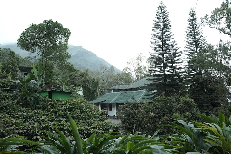 Bracknell Forest Resort - Bracknell Forest Resort, Pothamedu, Bison Valley, Pooppara Rd, Munnar, Keralam 685565, India
