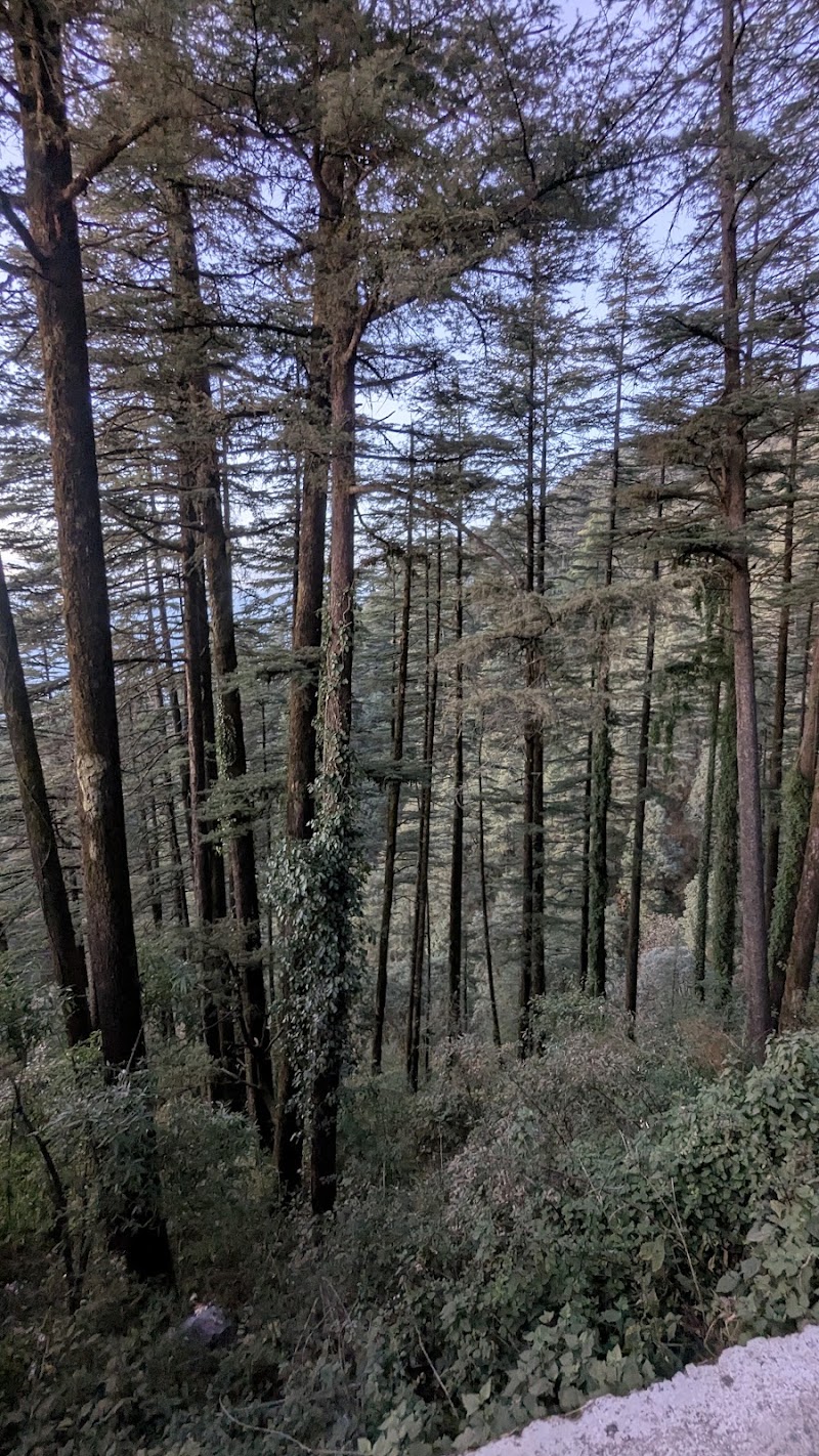 Cantonment Board - Cantonment Board, F36V+3HC, Luxmanpuri, Rajmandi, Landour, Mussoorie, Uttarakhand 248179, India