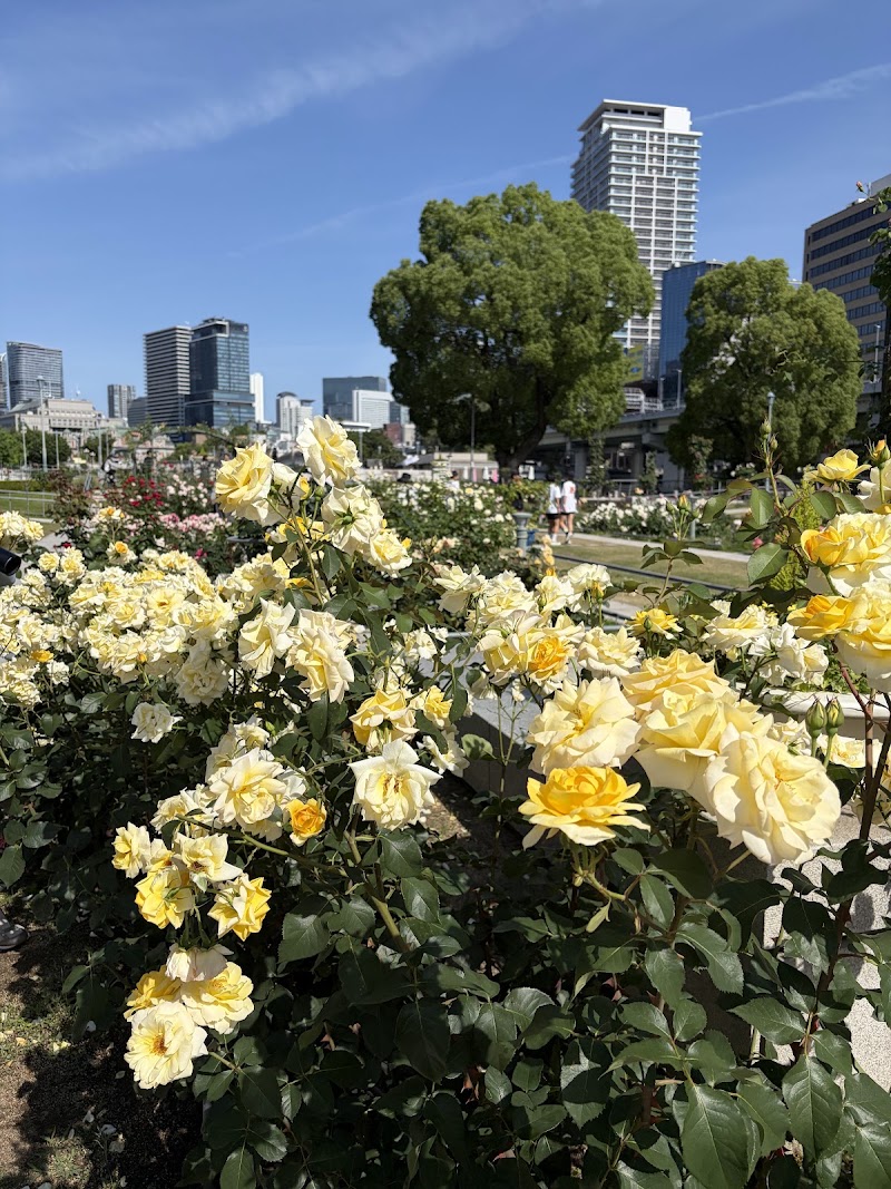 Nakanoshima Park - Nakanoshima Park 1 Chome-1 Nakanoshima, Kita Ward, Osaka, 530-0005, Japan
