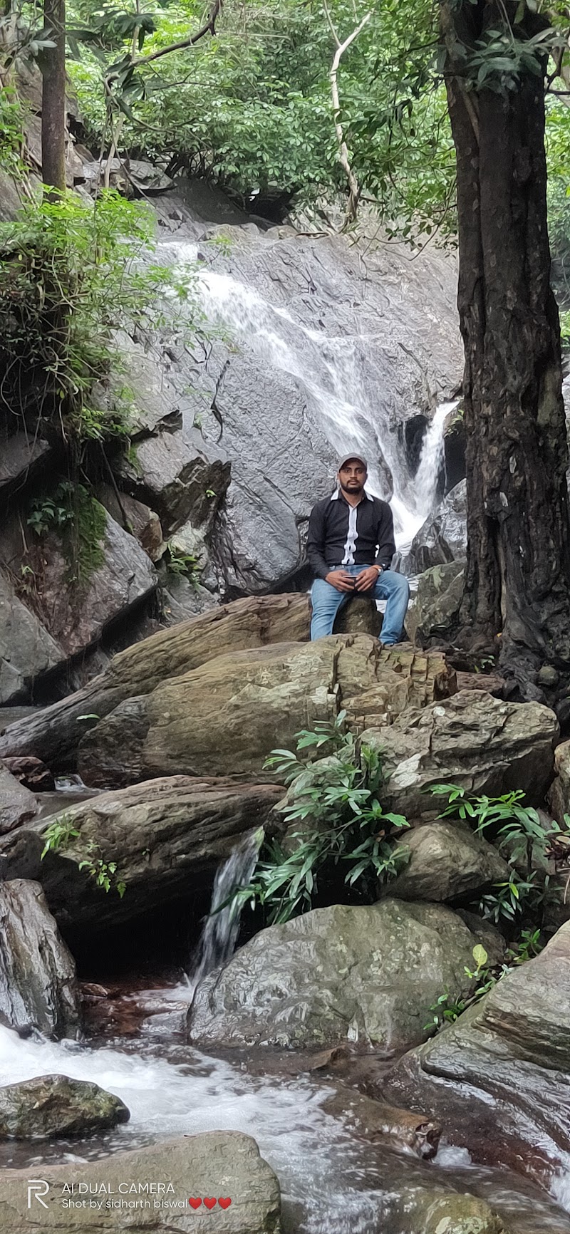Gandhamardana Hill - Gandhamardana Hill Gandhamardana Hill, Odisha, India