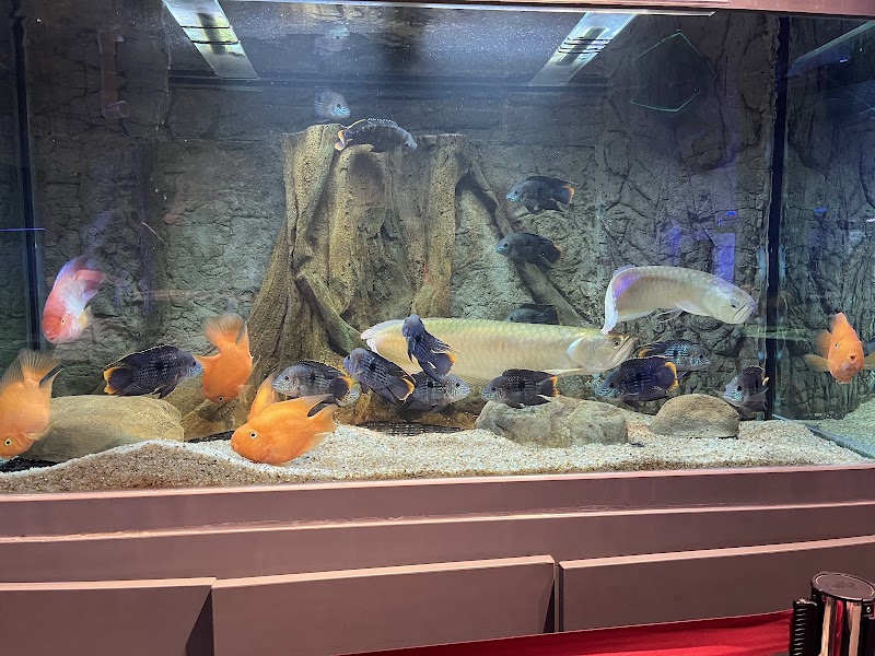 Namma Bengaluru Aquarium - Namma Bengaluru Aquarium Kasturba Rd, Shanthala Nagar, Bengaluru, Karnataka 560001, India