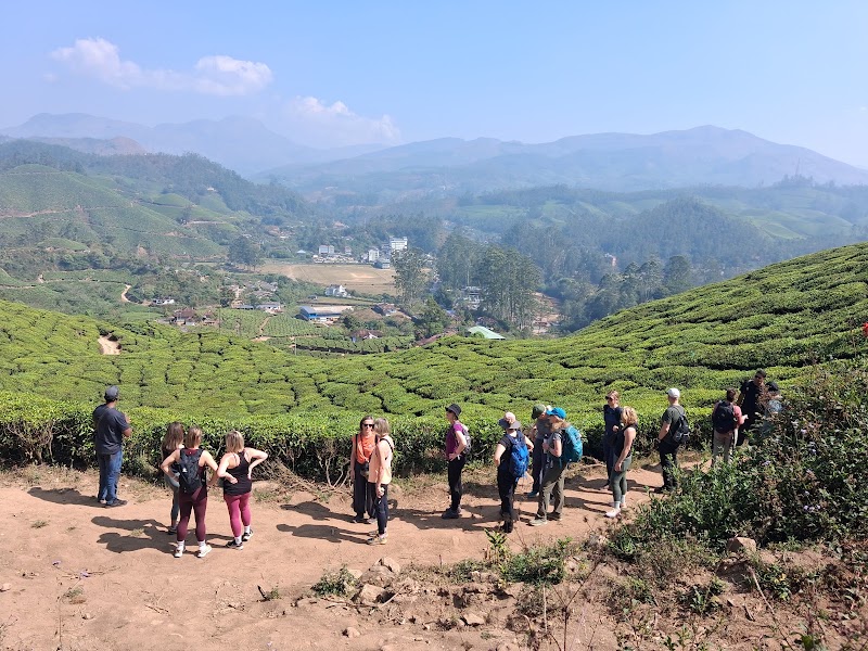 Munnar Nature Trekking and Hiking trail Adventures